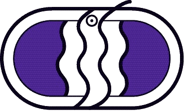 Dierenarts Zutphen Laren